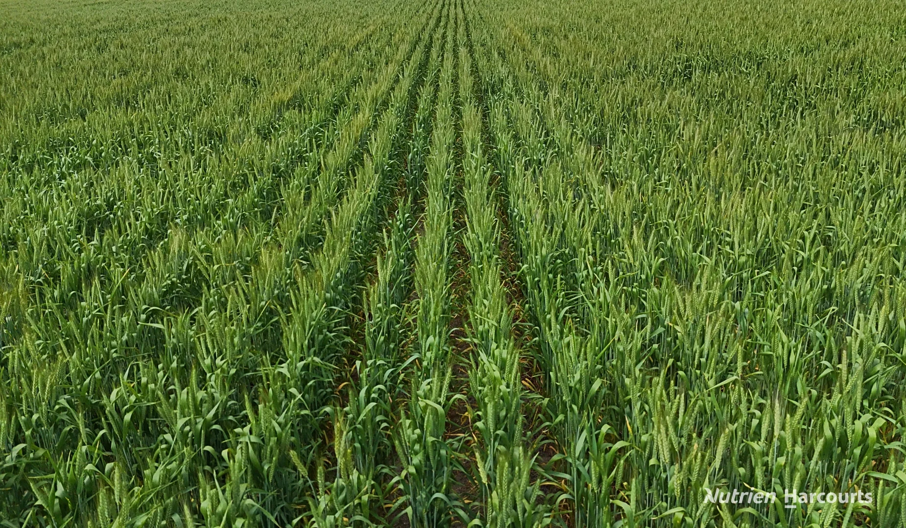 Additional image 3 of 3136 Billericay Road, Karlgarin WA 6358