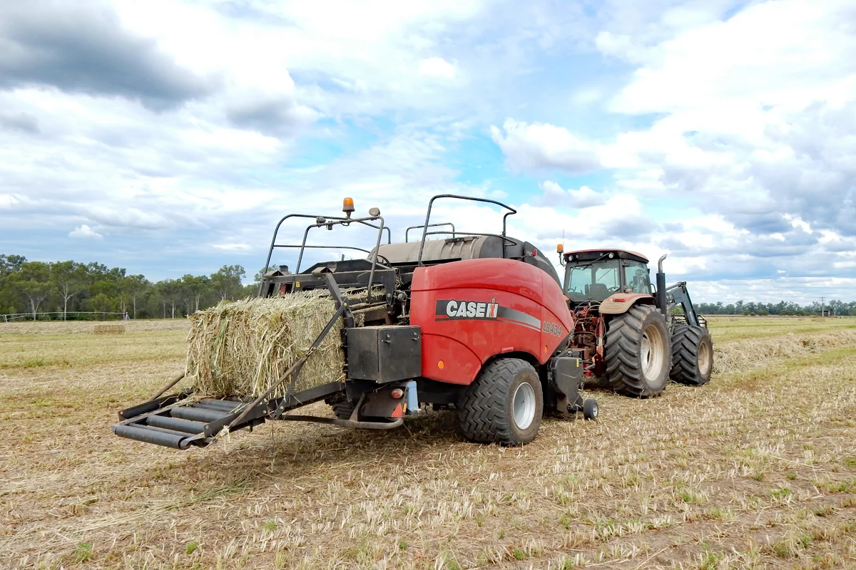 Additional image 5 of "Edenbelle" Lake Pleasant Road, Goovigen QLD 4702