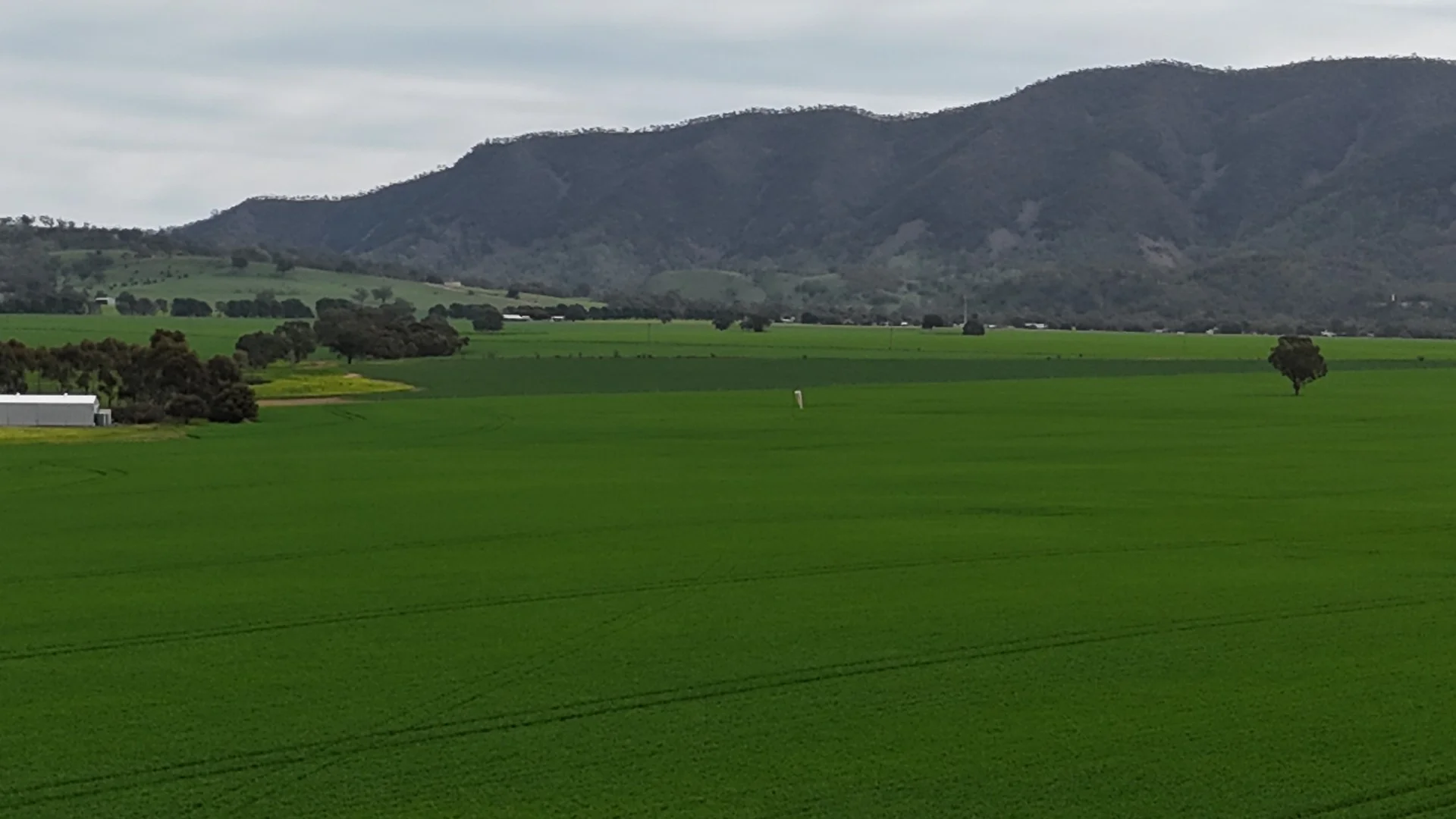 172 Cowin Road, Melrose SA 5483