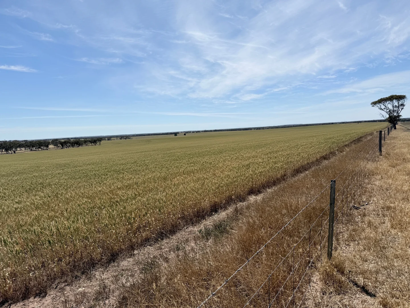 Additional image 5 of 860 Gerschwitz Road, Cungena SA 5660