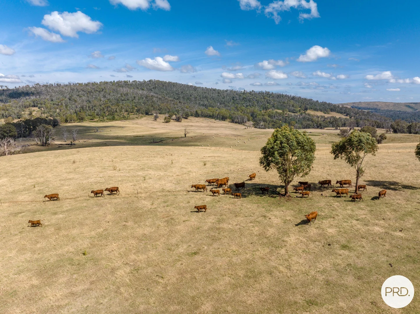 Additional image 28 of 1100 Batlow Road, Tumbarumba NSW 2653