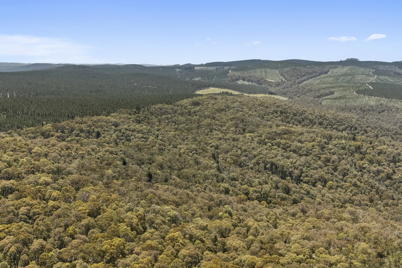 Additional image 22 of 321 Log Bridge Creek Road, Wee Jasper NSW 2582