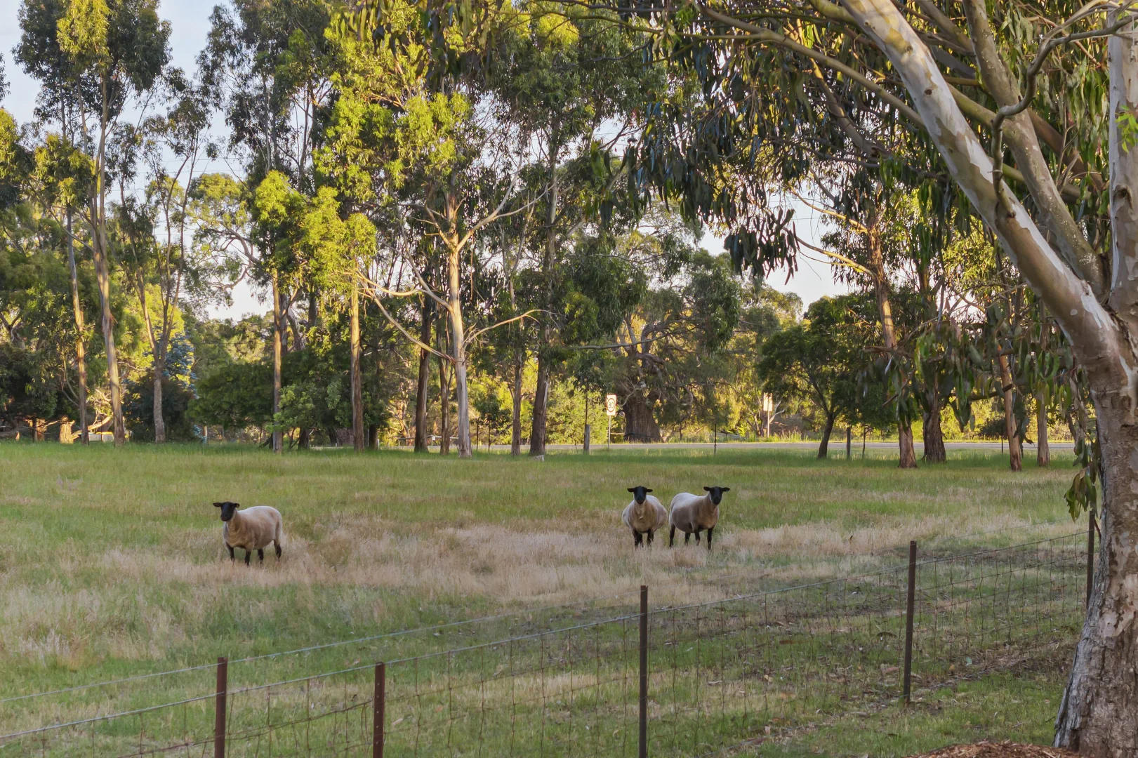 Additional image 19 of 80 Trio Road, Kyneton VIC 3444