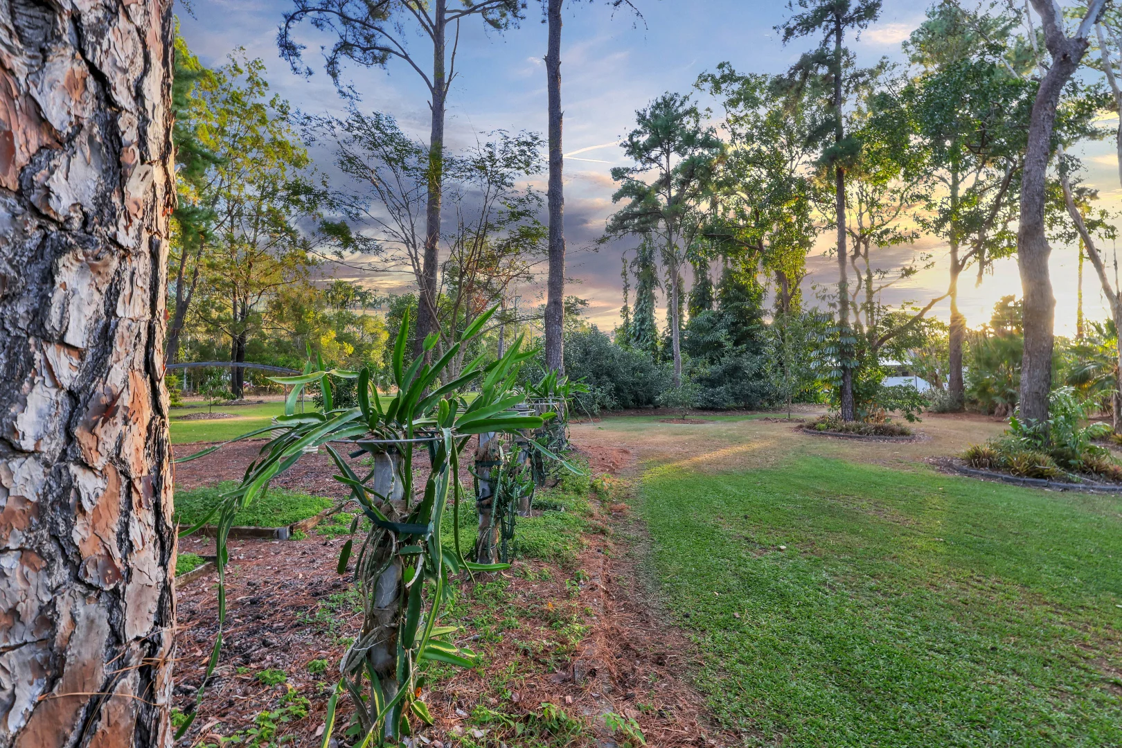 Additional image 8 of 285 Power Road, McMinns Lagoon NT 0822