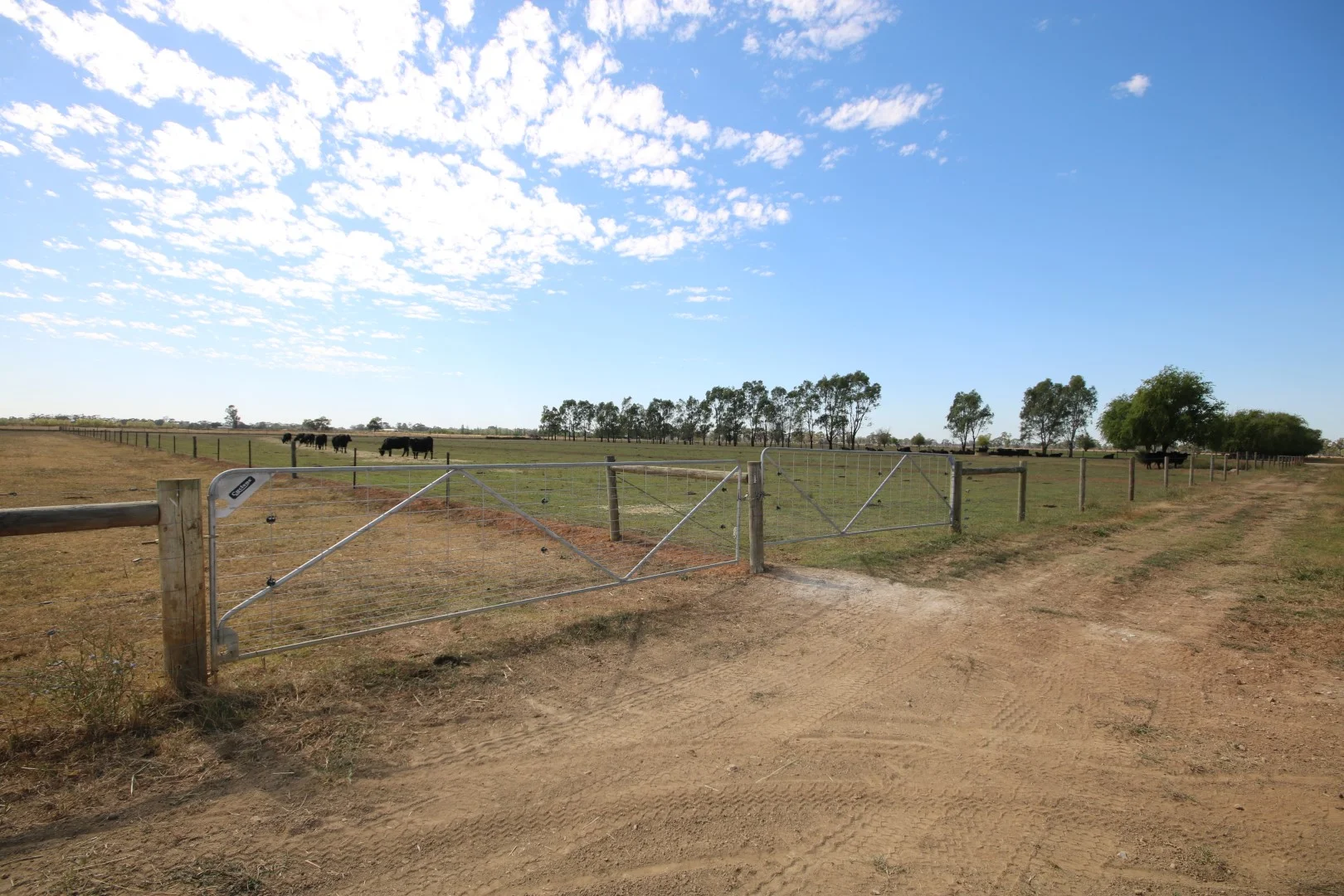 Additional image 5 of 1480 Fennaughty Road, Merrigum VIC 3618