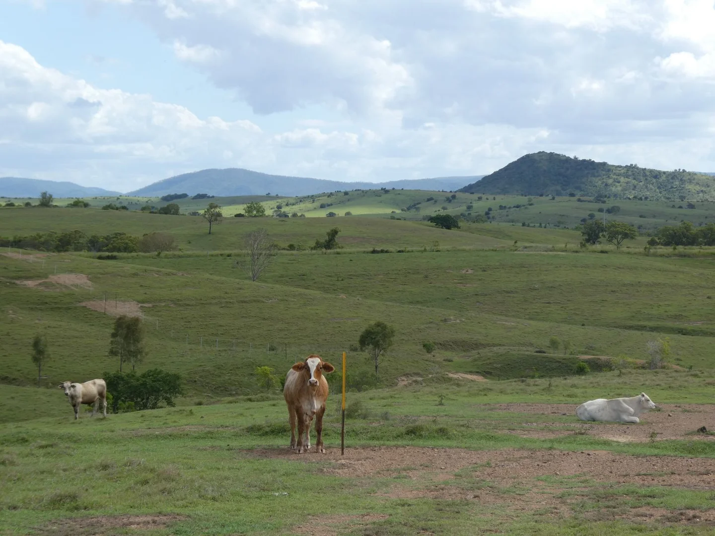 Additional image 15 of Lot 1 North Dallarnil Road, Dallarnil QLD 4621