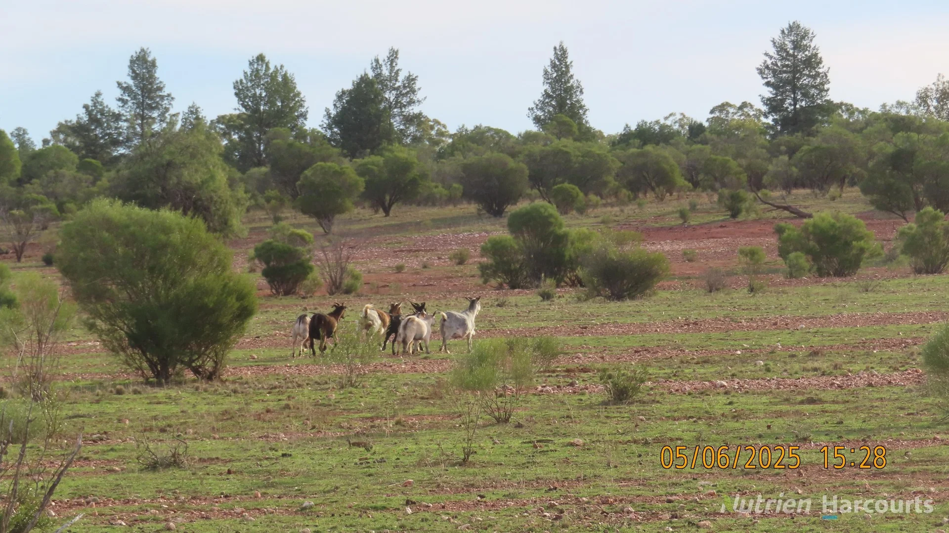* YARRANVALE, Nymagee NSW 2831