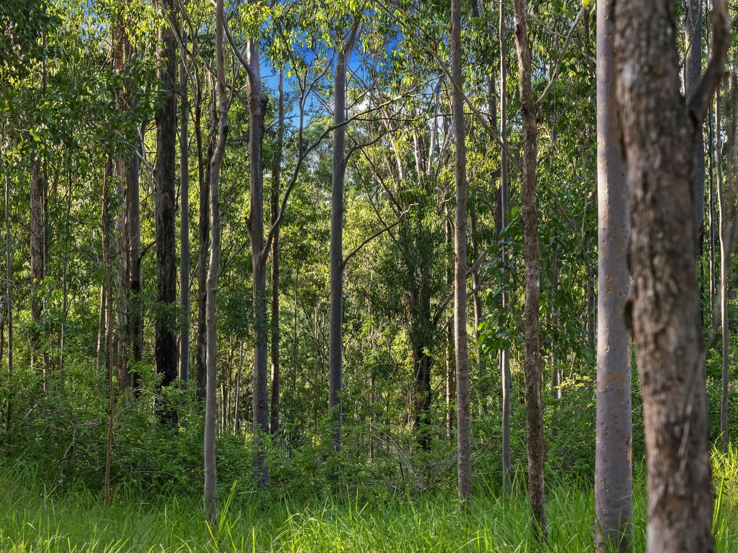 Additional image 7 of Duck Creek NSW 2469