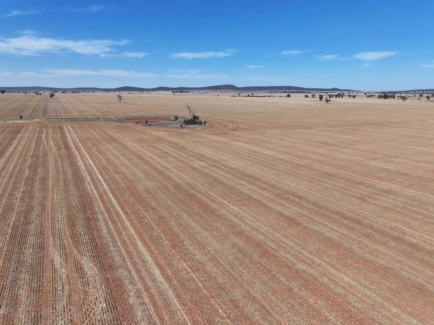 Additional image 10 of 'Nolens'  5000 Barellan Road, Colinroobie NSW 2700