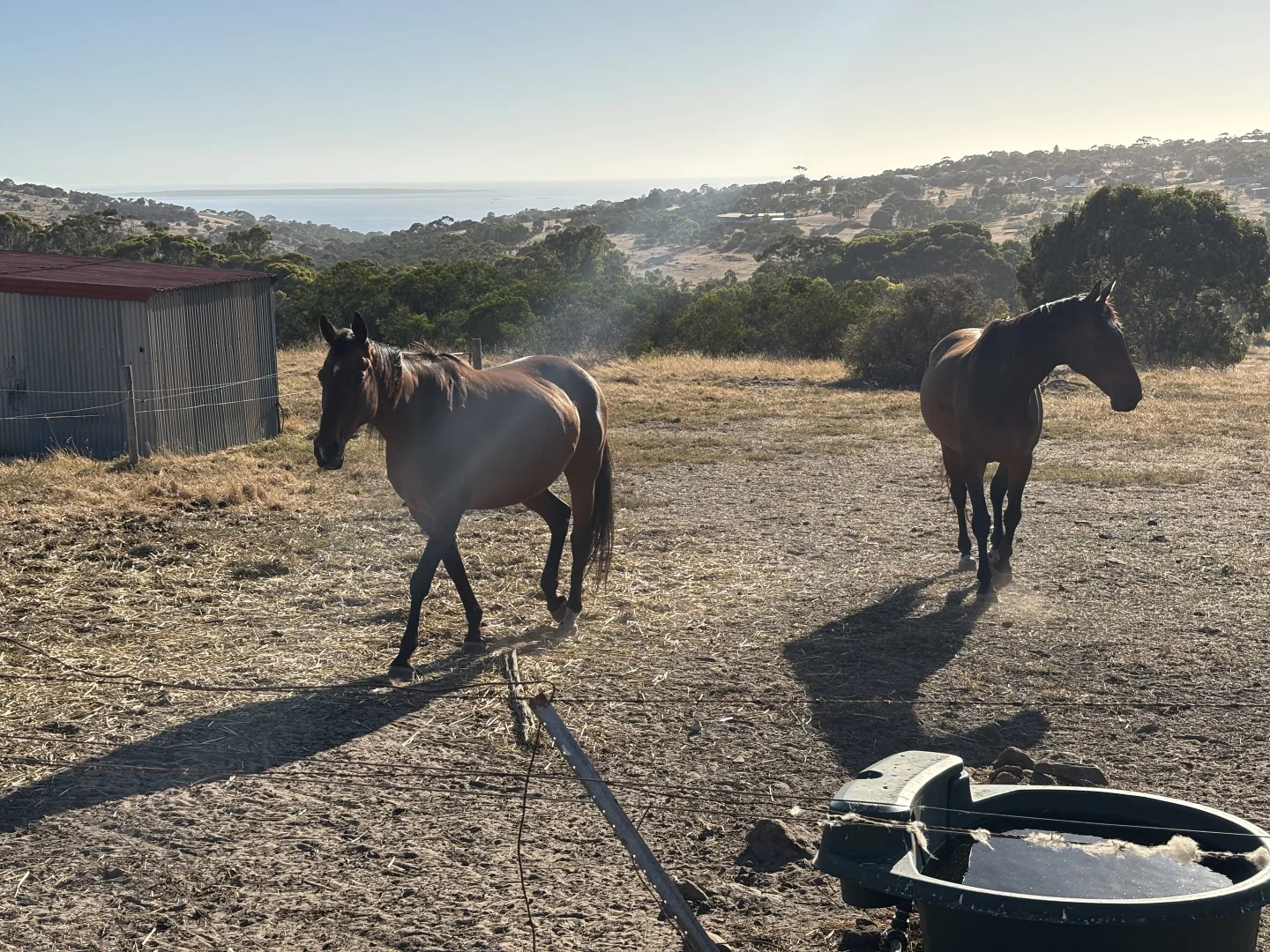 Additional image 9 of 7 Hidden Valley Lane, Boston SA 5607