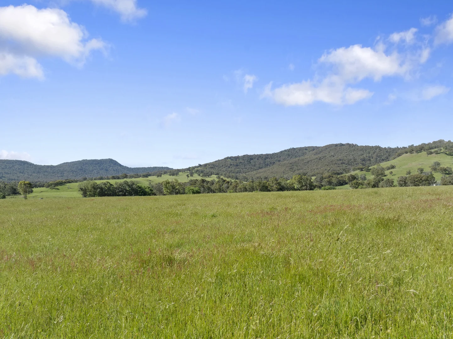 Additional image 4 of Mansfield VIC 3722