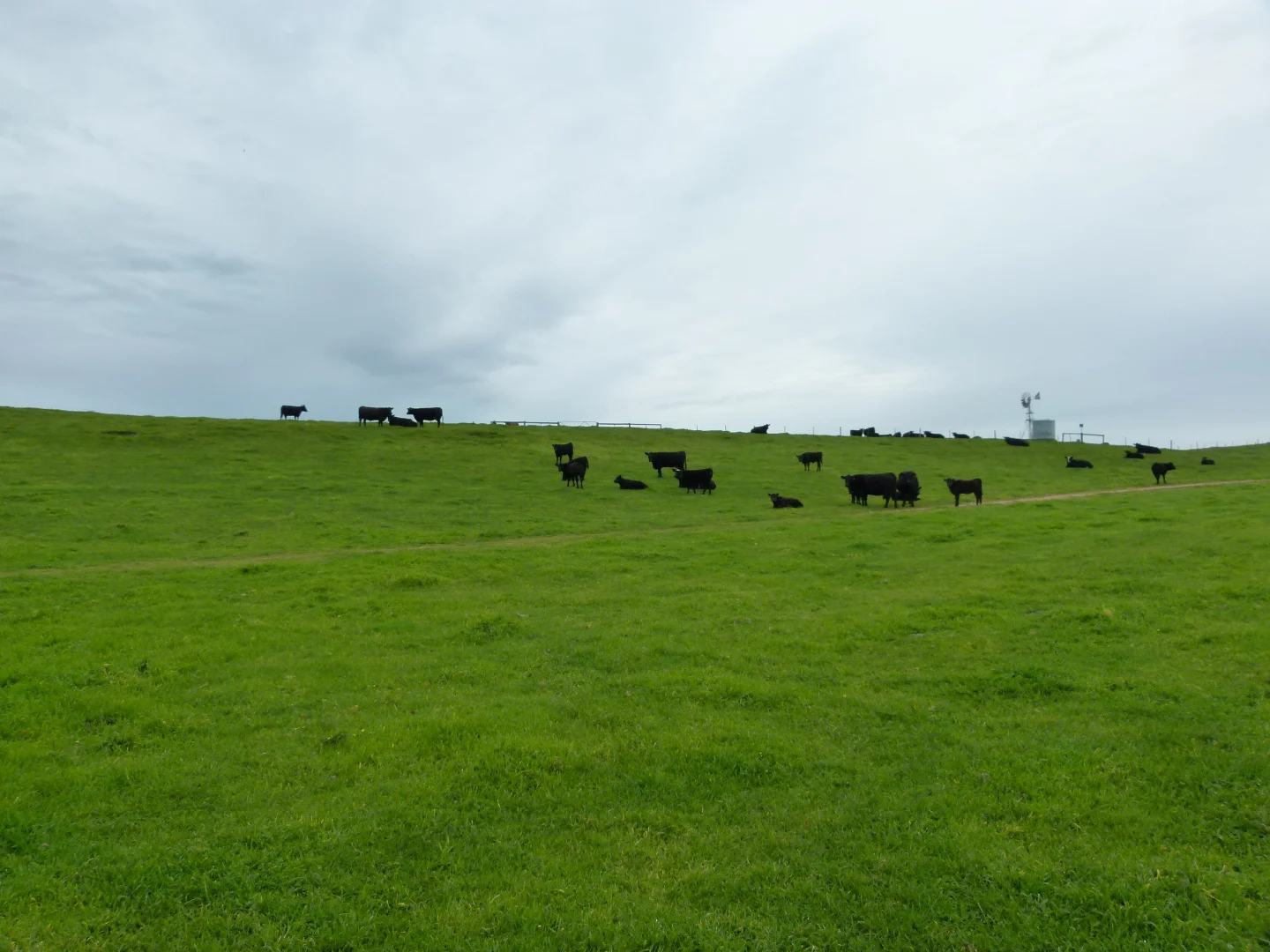 Additional image 17 of 1683 Canunda Frontage Road, Tantanoola SA 5280