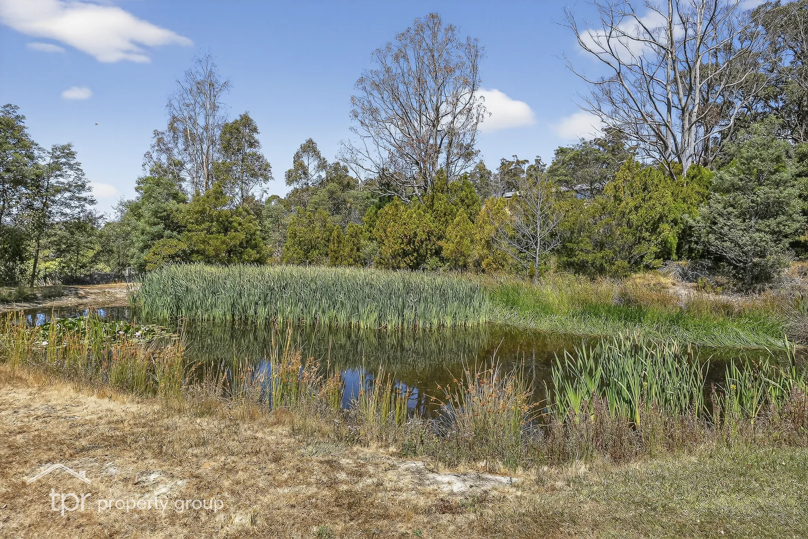Additional image 32 of 3 Elizabeth Street, Cygnet TAS 7112