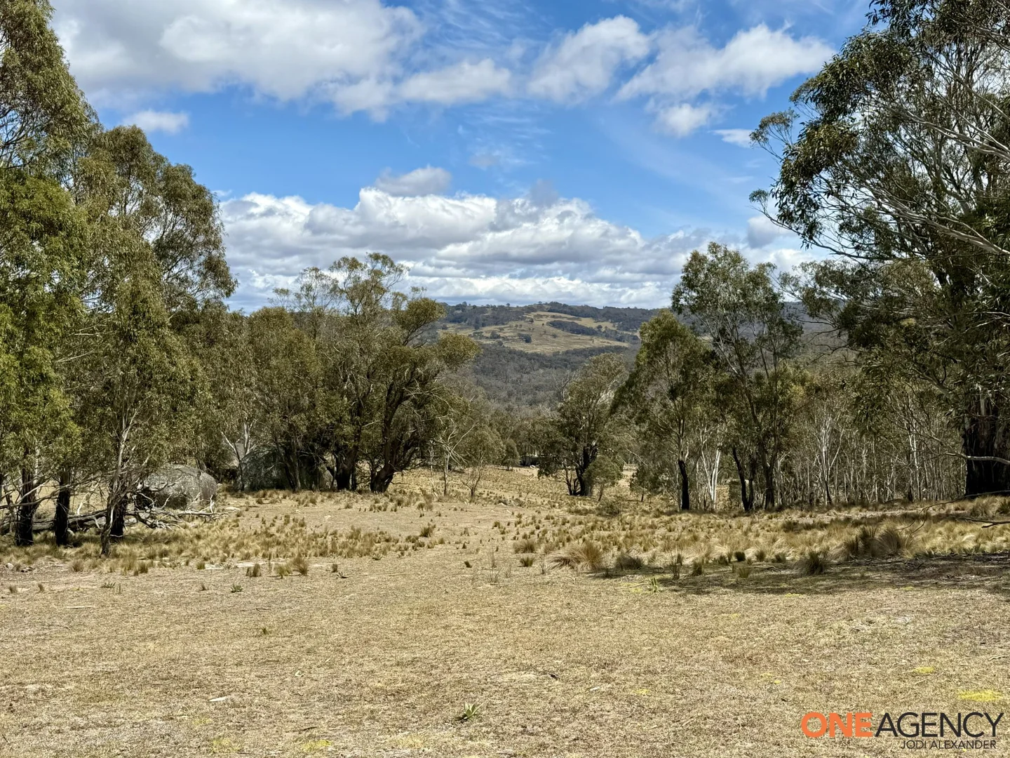 Additional image 13 of Lots 73 & 78 / 125 Fistys Lane, Jerangle NSW 2630