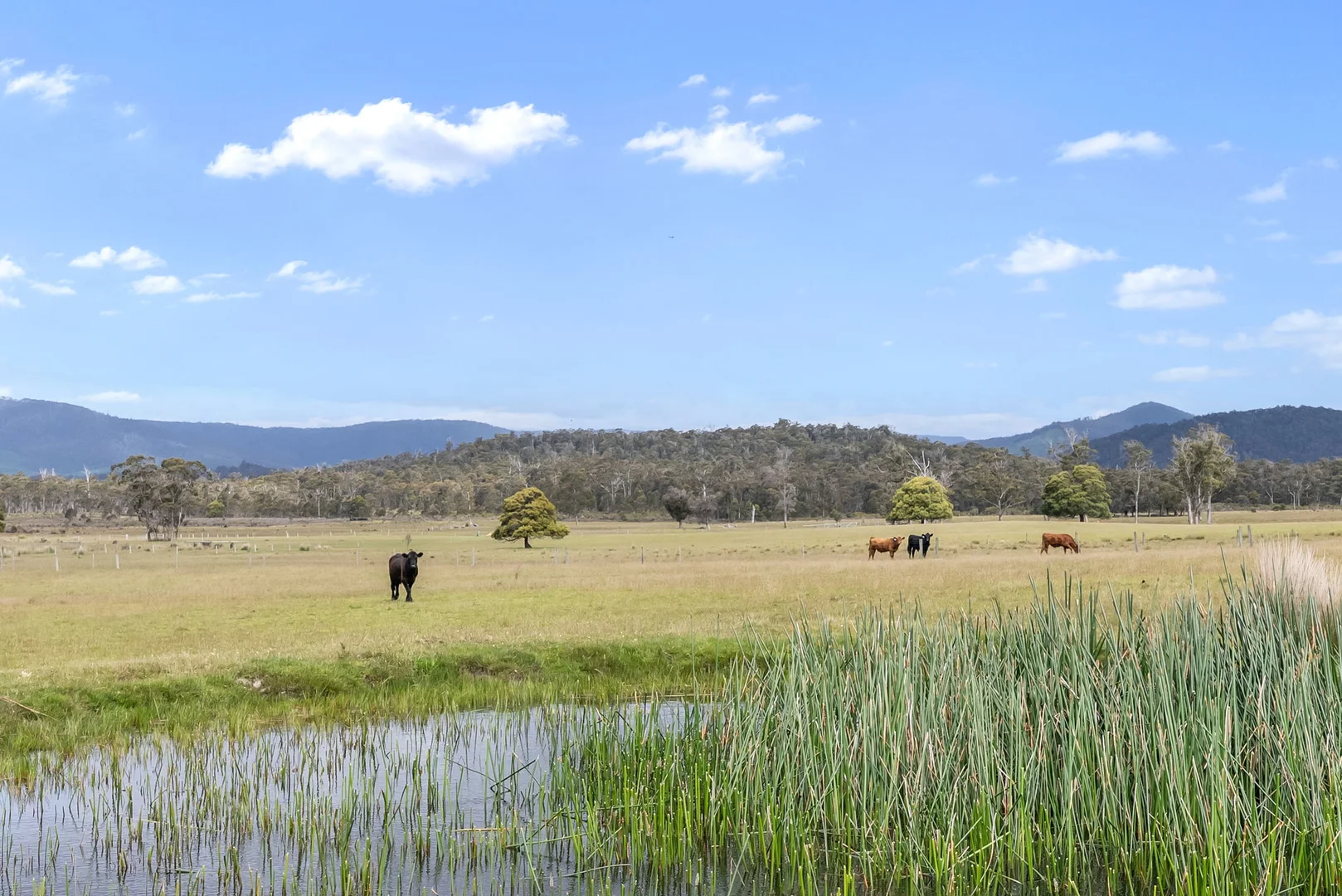 Additional image 19 of 399 Ferny Hill Road, Golconda TAS 7254