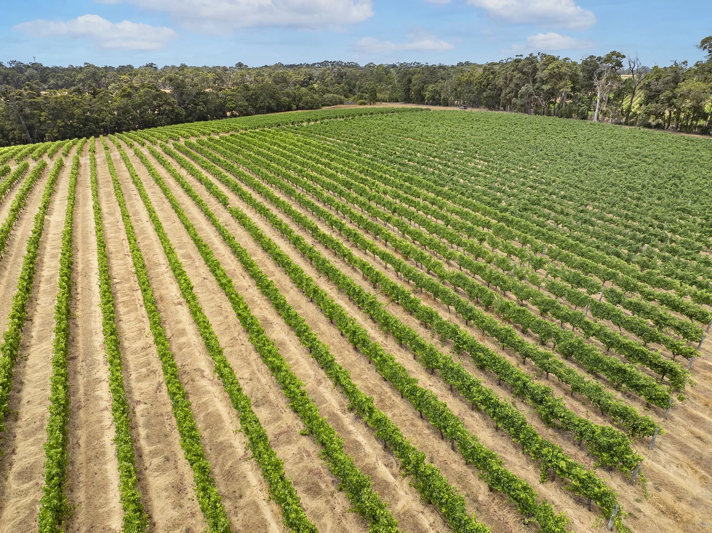 Additional image 10 of Lot 502 Clews Road, Cowaramup WA 6284