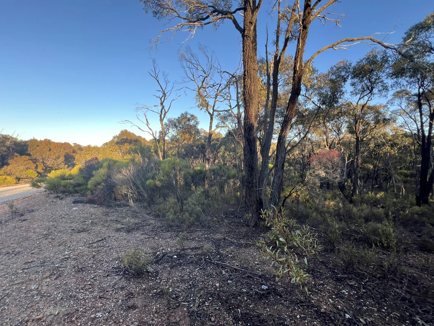 Additional image 11 of 373 Josephine Drive, Wedderburn VIC 3518