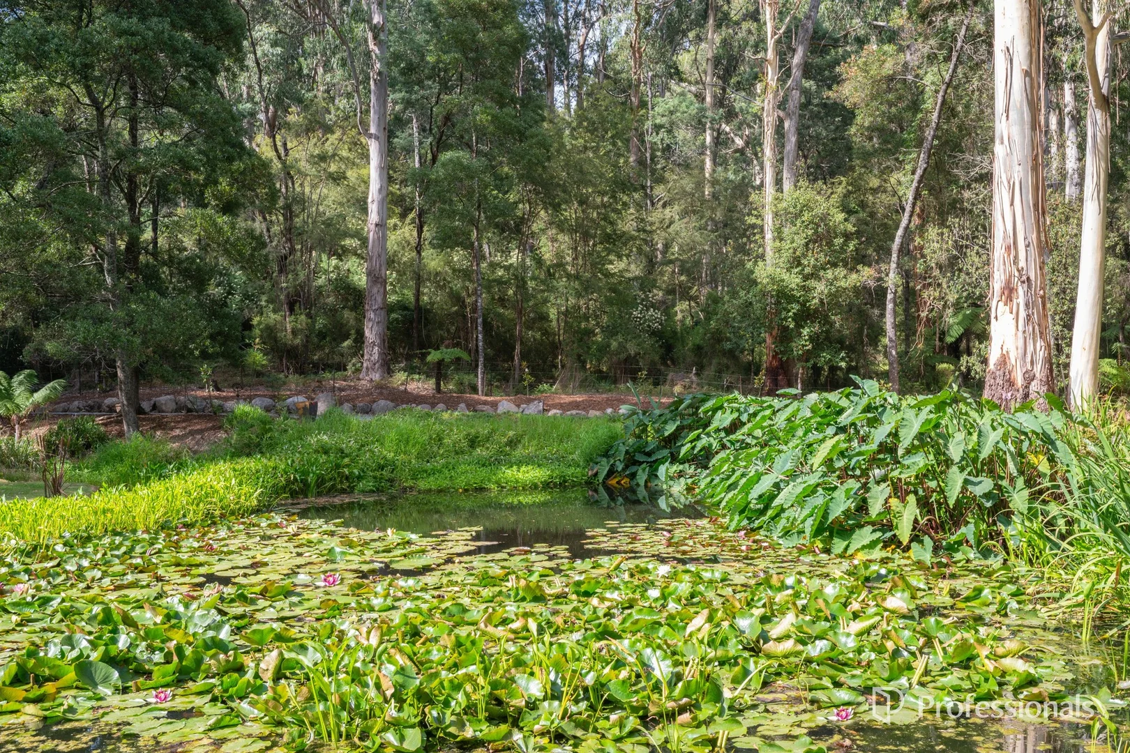 Additional image 33 of 15B Old Warburton Road, Warburton VIC 3799