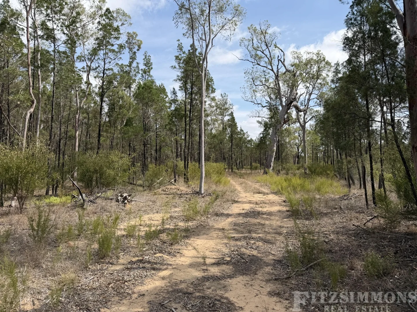 Additional image 13 of 25 Bulloak Drive, Dalby QLD 4405