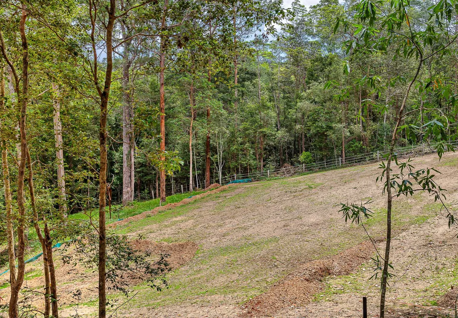 Additional image 11 of 13 Dunbar Road, Bonogin QLD 4213