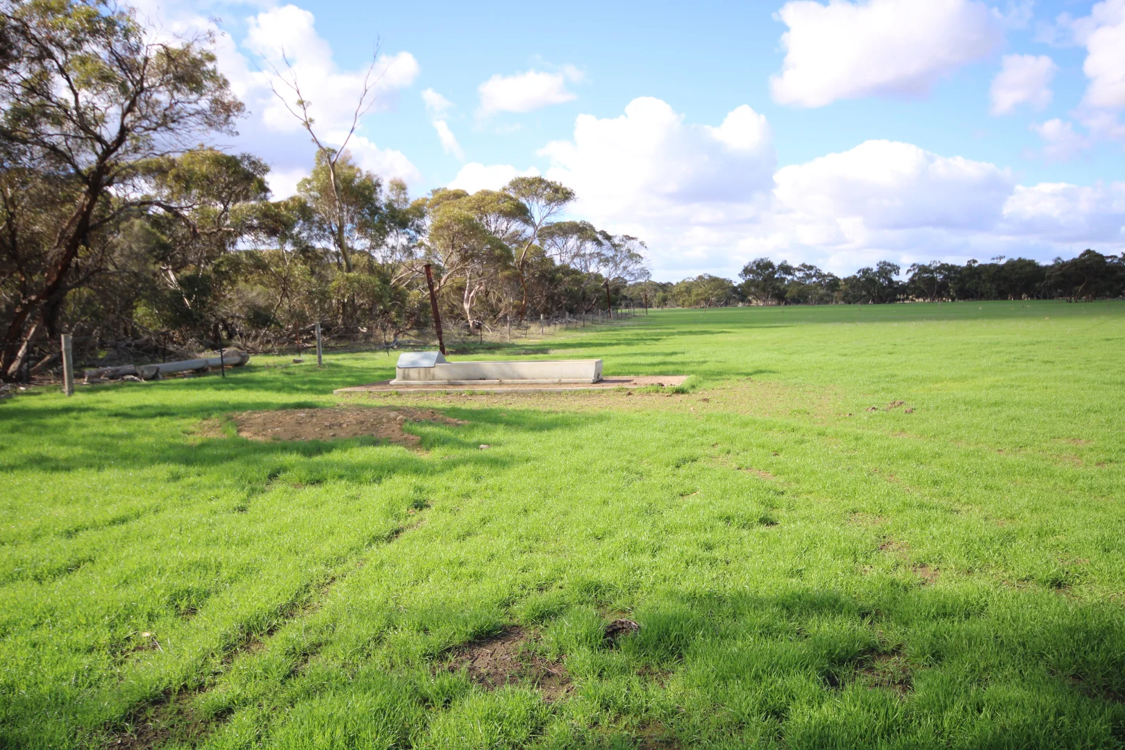 Additional image 51 of 381 & 907 Pascoe Road, Coonalpyn SA 5265