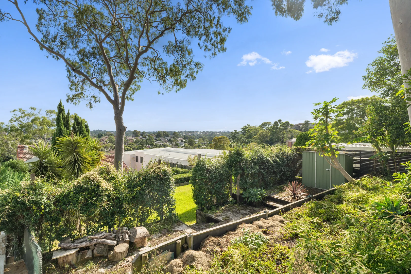 Additional image 12 of 24 Wellington Road, Earlwood NSW 2206