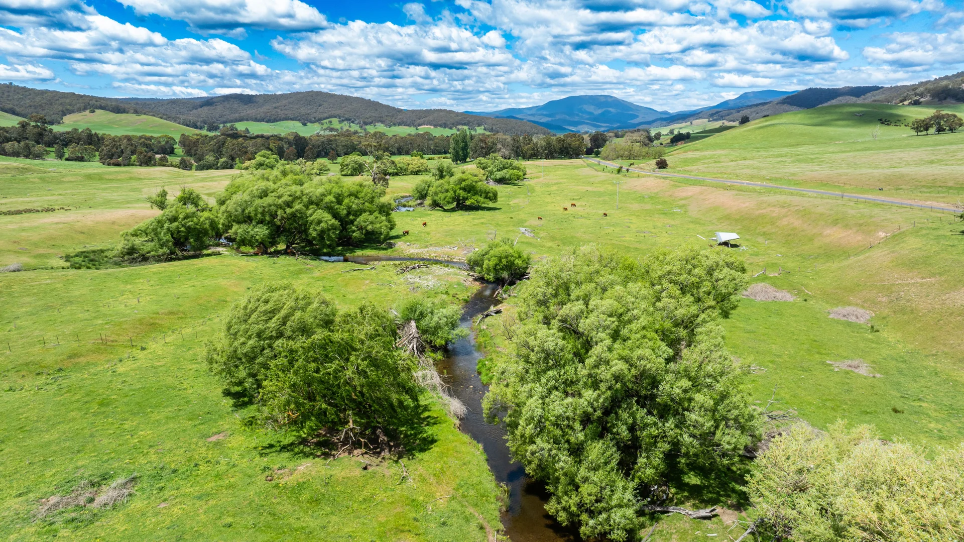Additional image 11 of 'Grassmere'/2485 Tallangatta Creek Rd, Tallangatta Valley VIC 3701