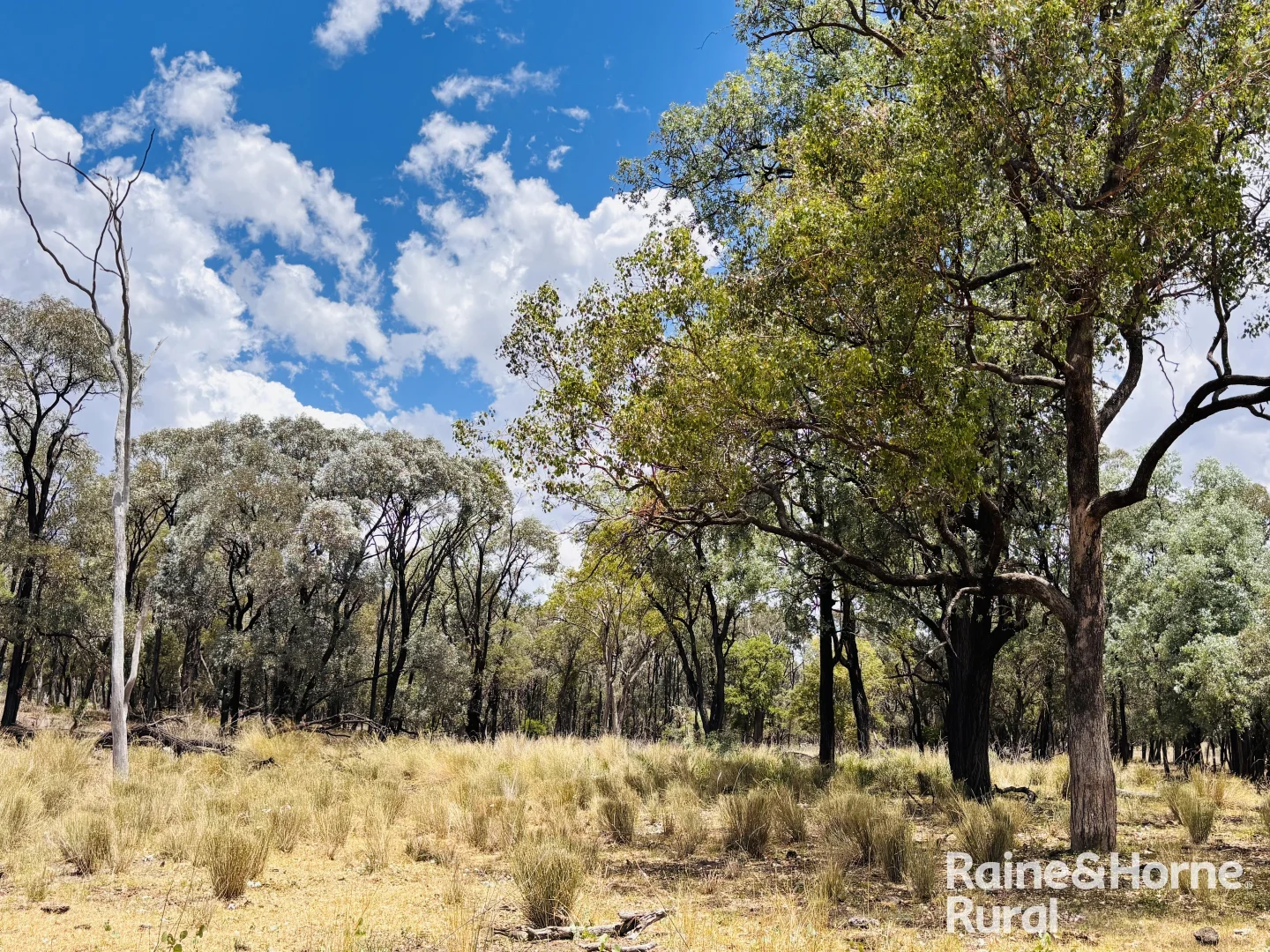 Additional image 5 of 330 Burrow Downs Road, Injune QLD 4454