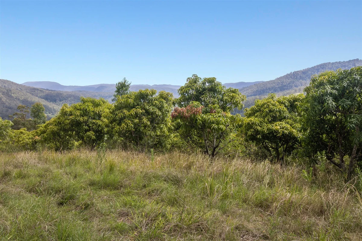 Additional image 13 of 376 Findon Creek Road, Findon Creek NSW 2474