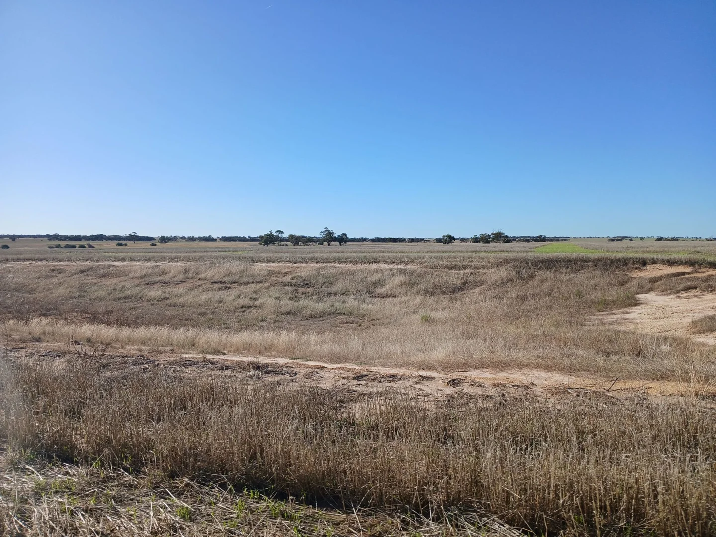 Additional image 10 of 1100 Propodollah Road, Nhill VIC 3418