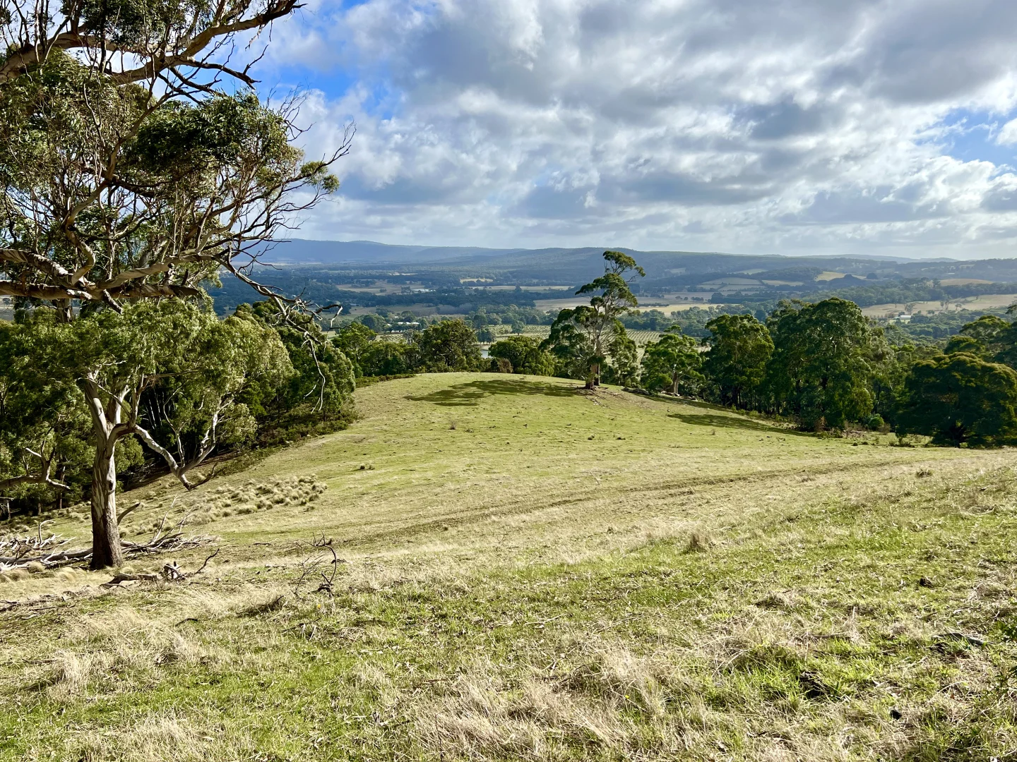 Additional image 20 of Red Gap Road/Fagans Lane, Goldie VIC 3435