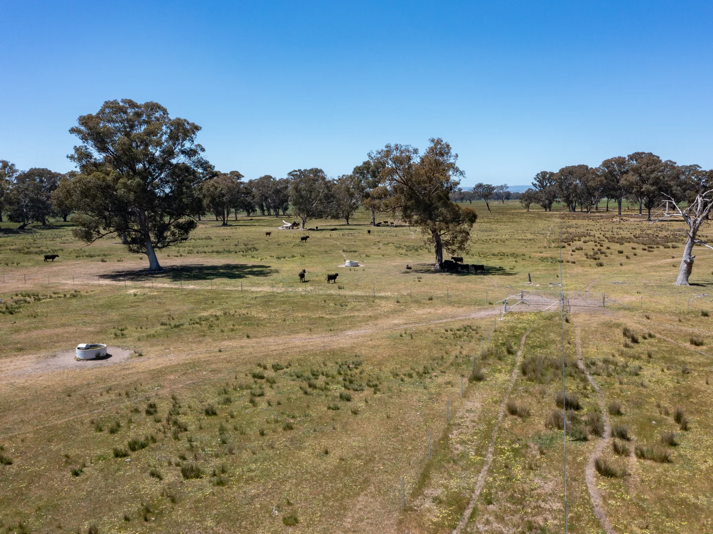 Additional image 8 of 377 Laceby-Targoora Road, Laceby VIC 3678