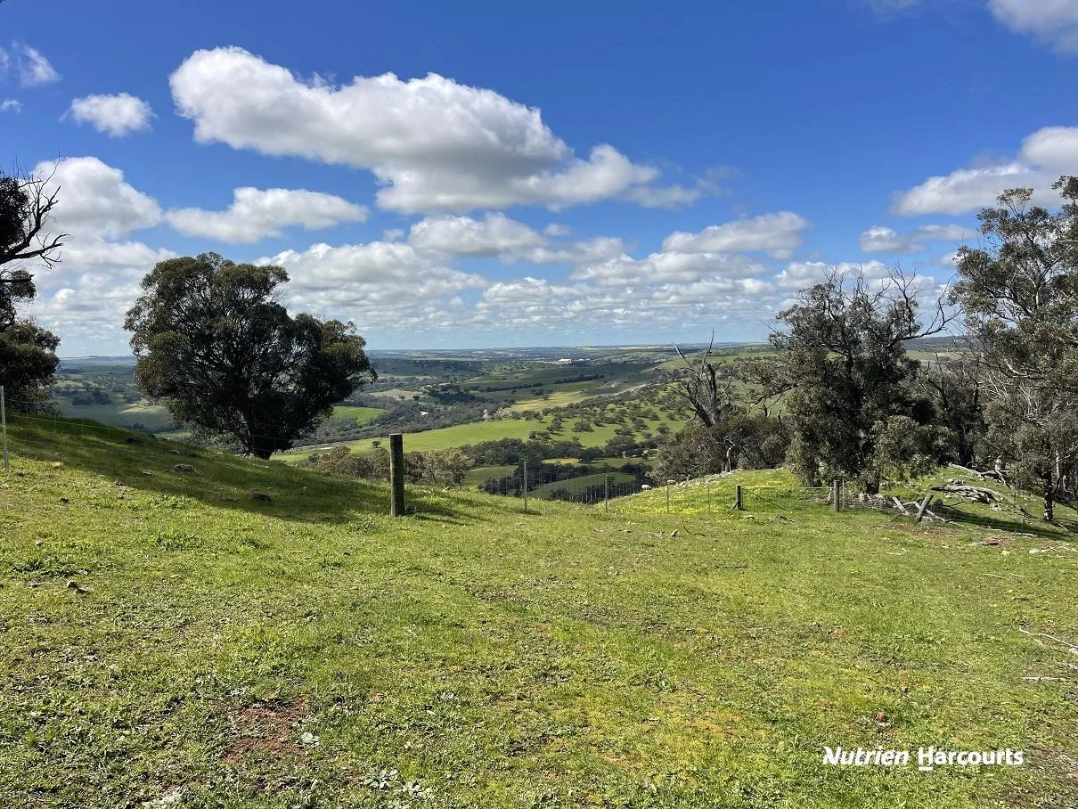 Additional image 40 of 967 Northam-Toodyay Road, Katrine WA 6401