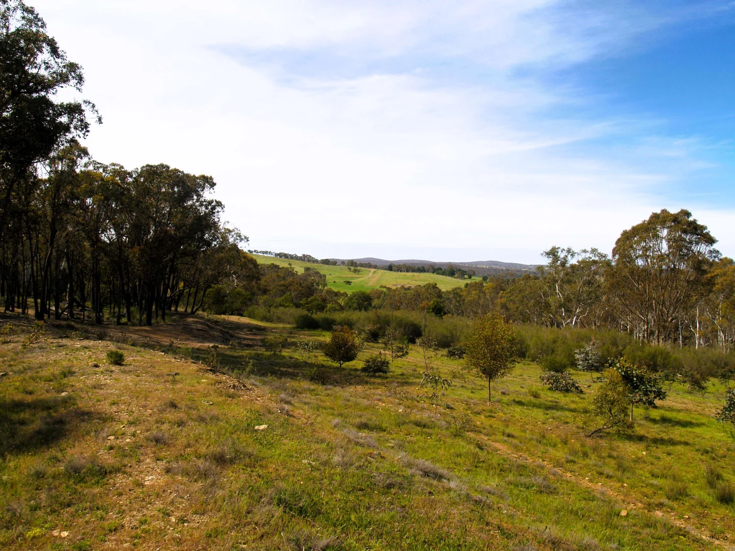 Additional image 16 of 198 Wurungul Lane, Gundaroo NSW 2620