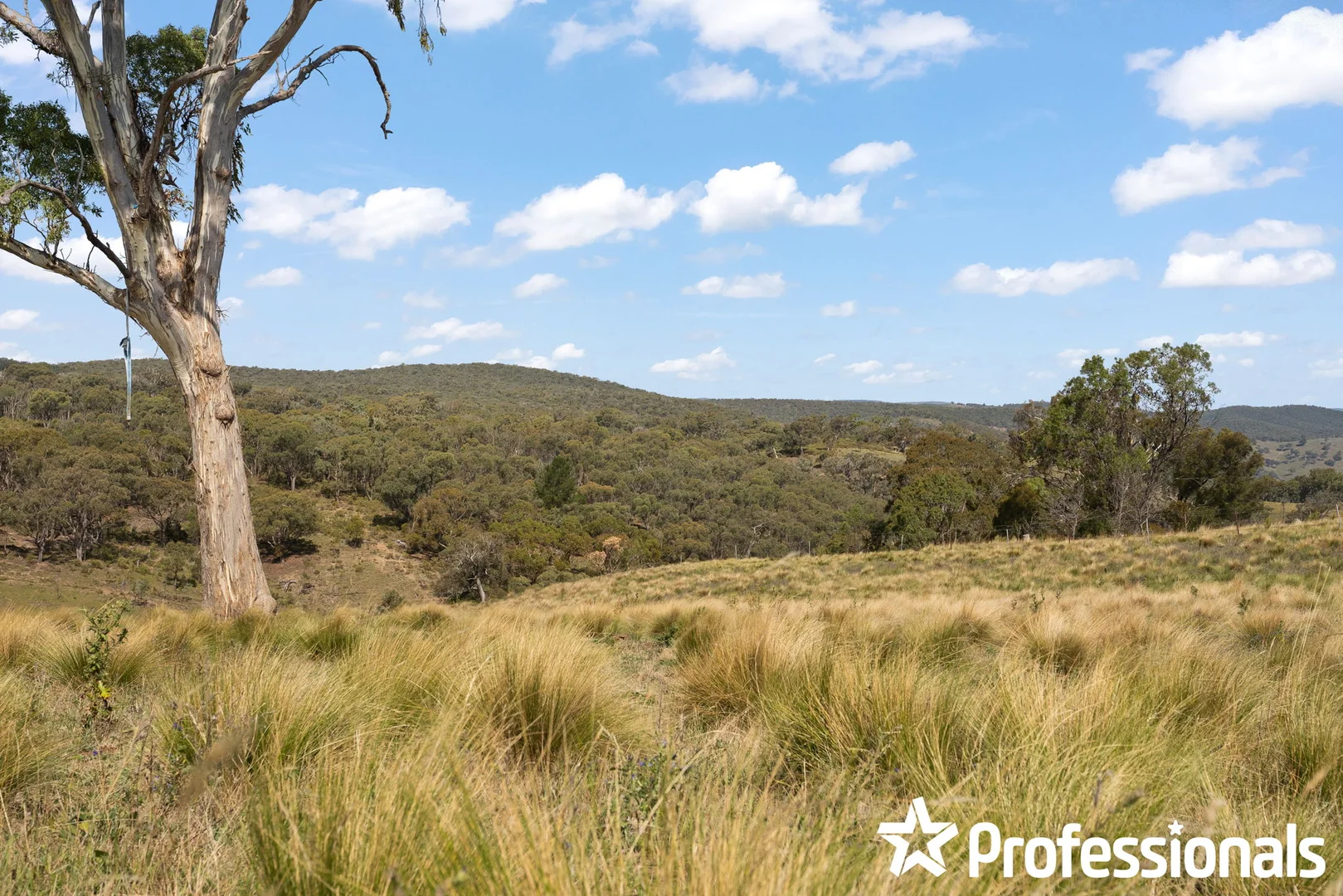 Additional image 7 of 3469 Sofala Road, Wattle Flat NSW 2795