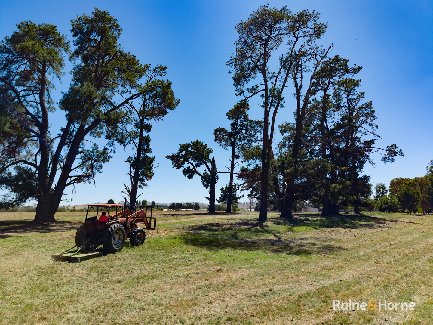 Additional image 19 of 149 Eastern Avenue, Kentucky NSW 2354