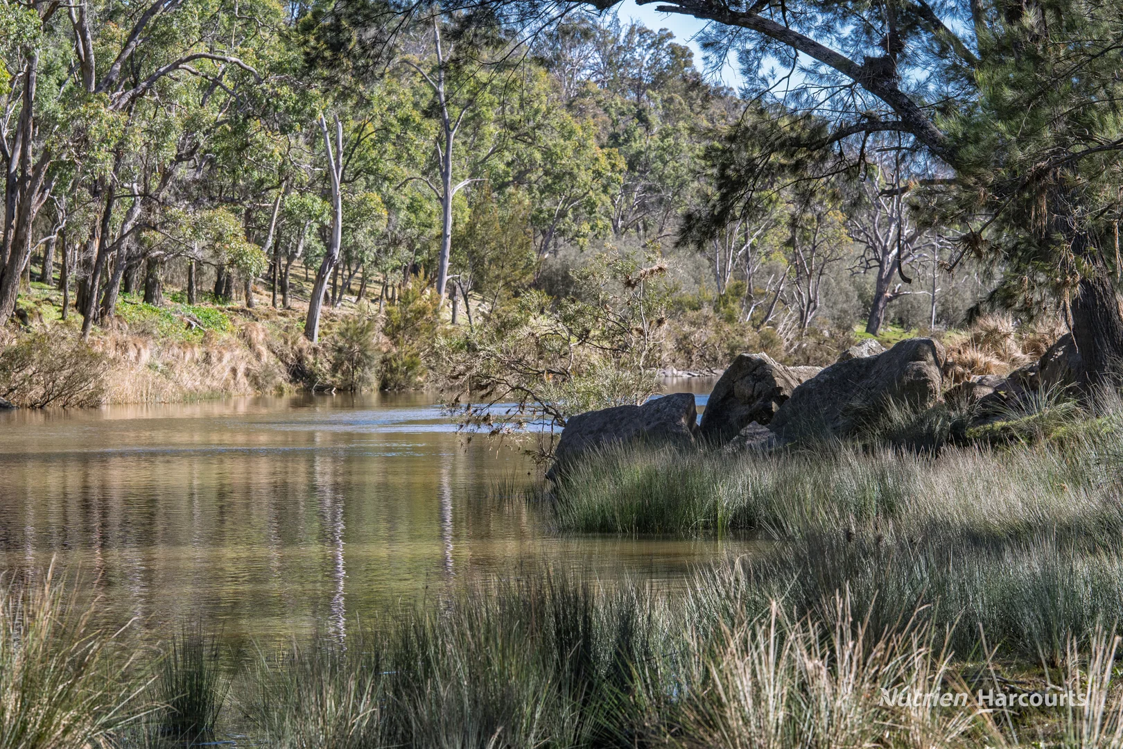 Additional image 19 of 206 - 208 Rocky Glen Road, Kingstown NSW 2358
