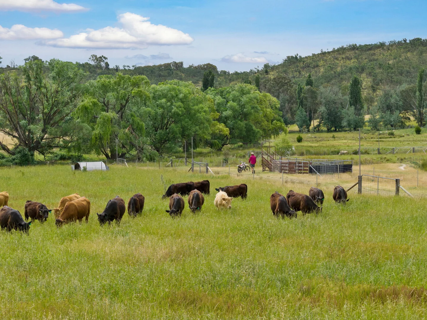 Additional image 15 of 2025 Rugby Road, Frogmore Via, Boorowa NSW 2586