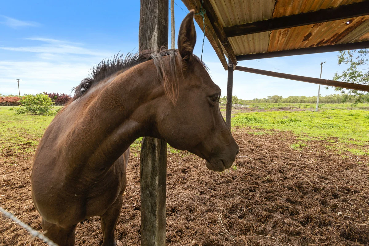 Additional image 19 of 185 Martin Avenue, Mareeba QLD 4880