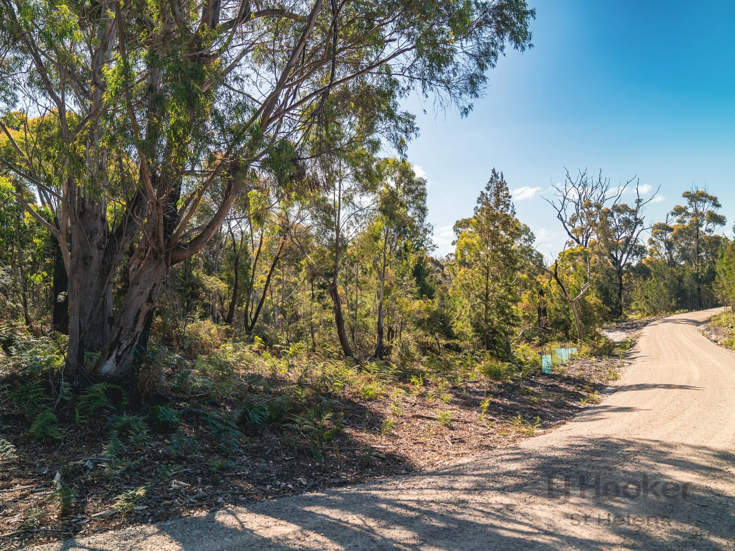 Additional image 4 of PID 7298938 Upper Scamander Road, Scamander TAS 7215