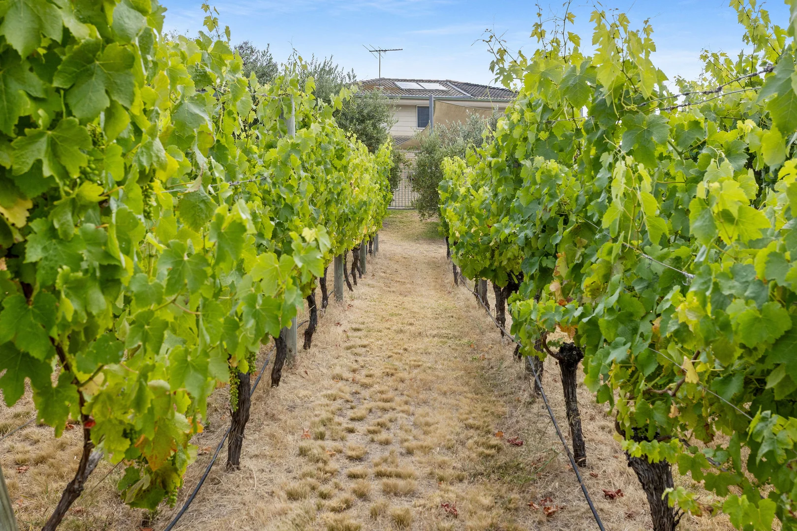 Additional image 6 of 18 Hull Road, Mount Martha VIC 3934