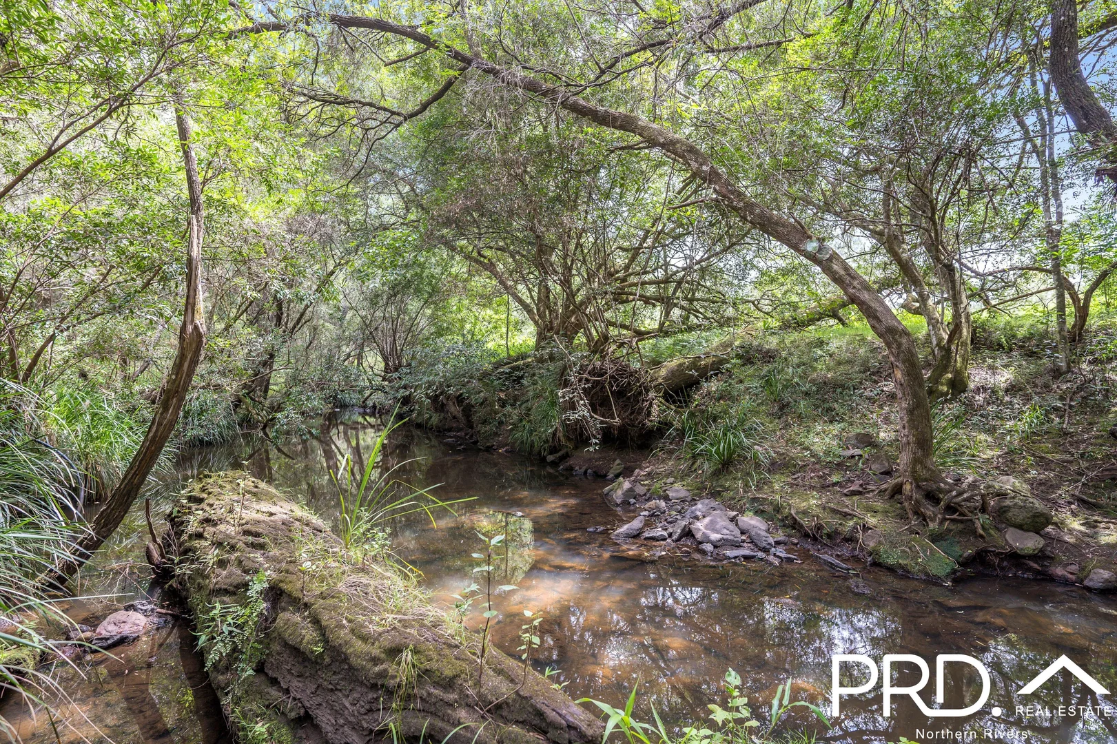 Additional image 5 of 130 Homeleigh Road, Homeleigh NSW 2474