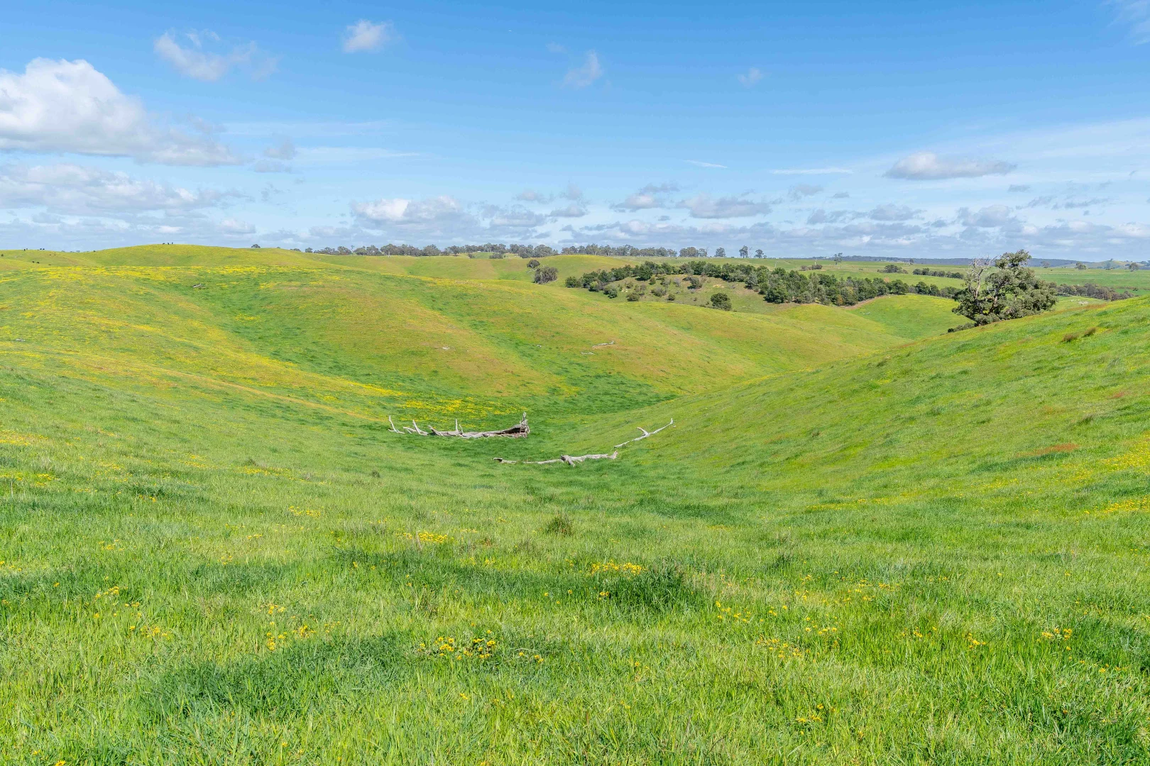 Additional image 16 of 362 Watchbox Road, Barfold VIC 3444