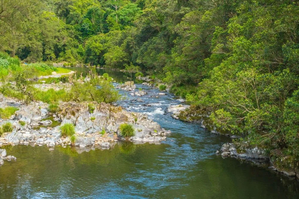 Additional image 16 of 870 Darkwood Road, Thora NSW 2454