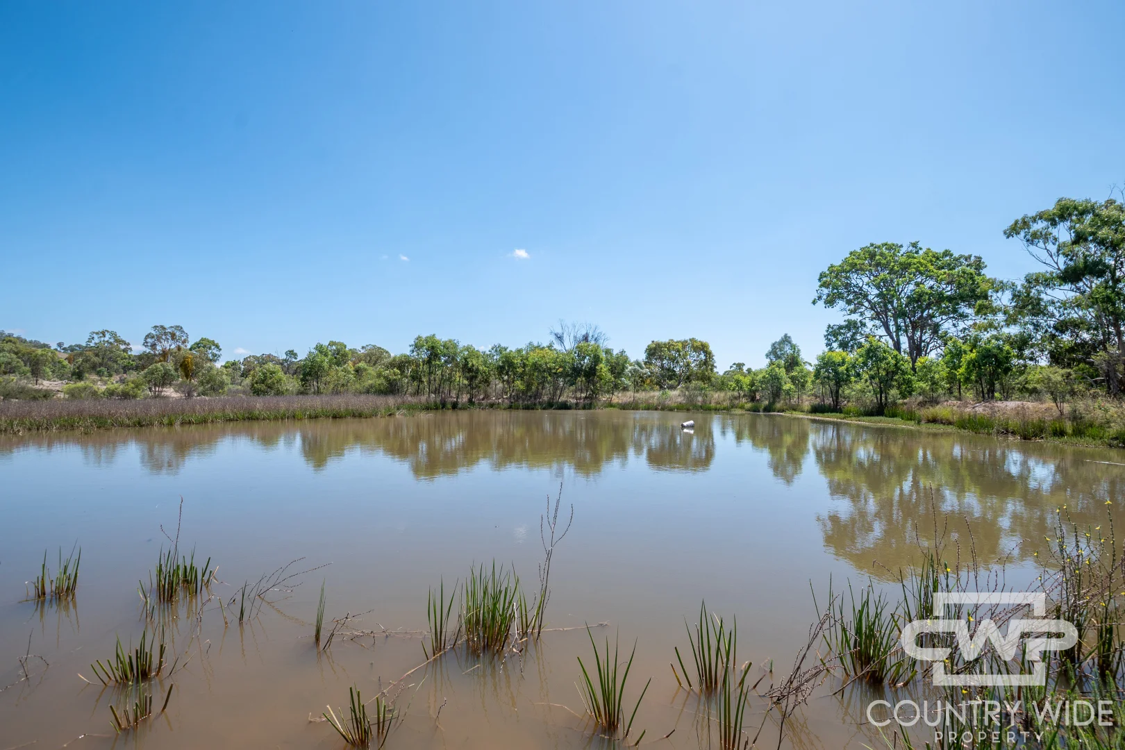 Additional image 15 of 333 Gulf Road, Emmaville NSW 2371