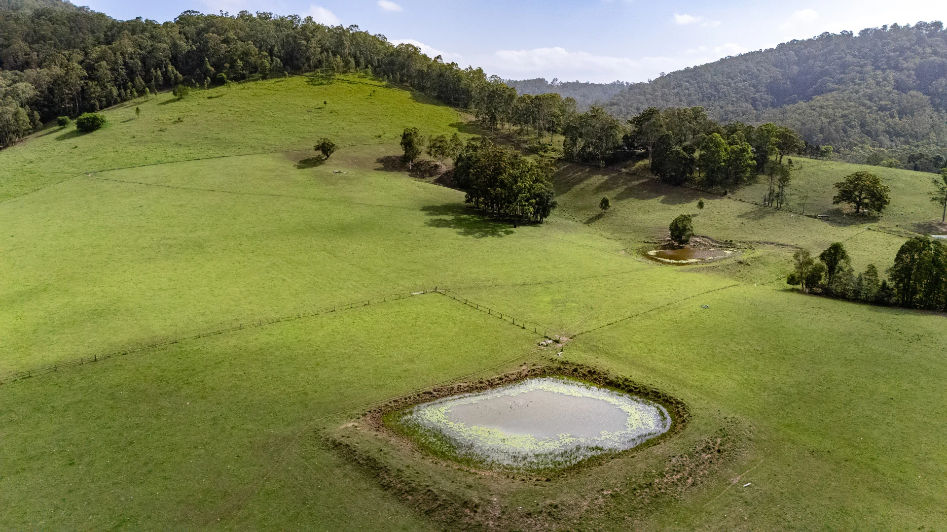 Additional image 28 of 529 Willina Road, Willina NSW 2423