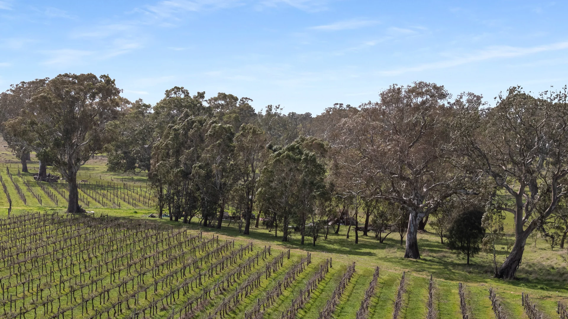 Additional image 10 of Lot 104/108 Dergholm Road, Penola SA 5277