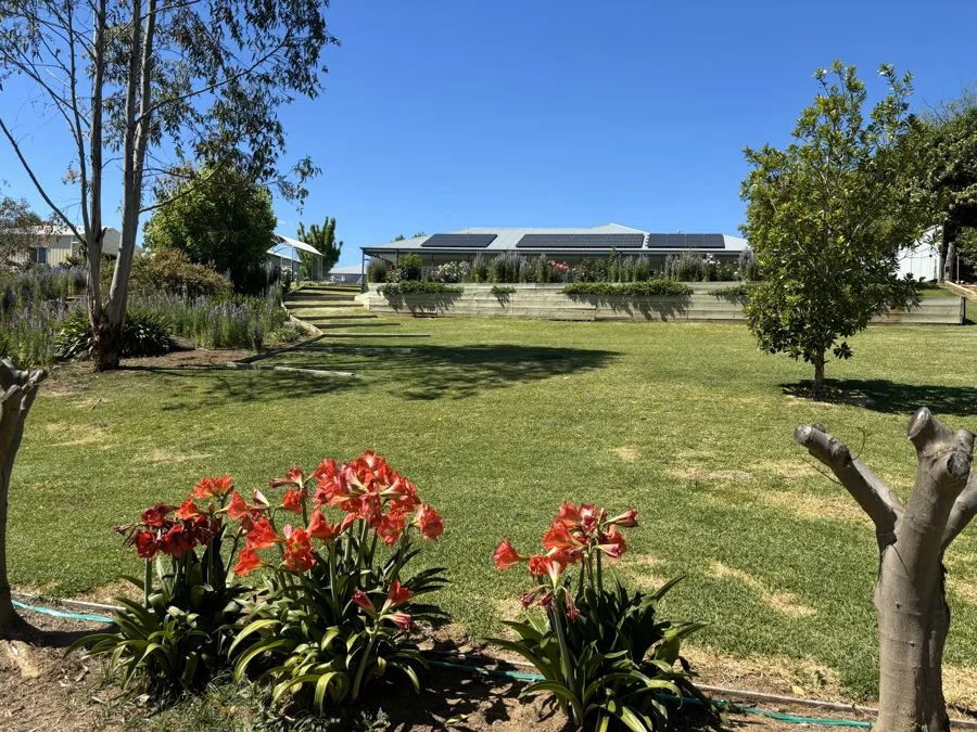 Additional image 21 of 21 Keera Street, Bingara NSW 2404