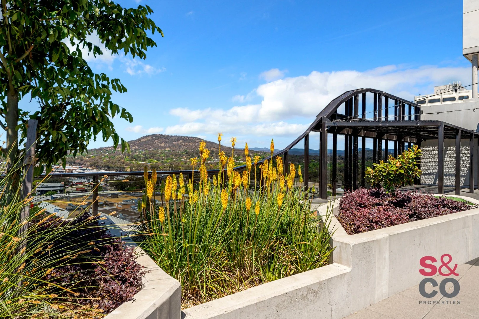 Additional image 12 of 1218/15 Bowes Street, Phillip ACT 2606