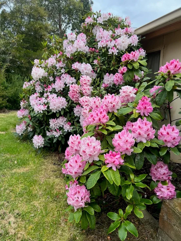 Additional image 37 of 36 Spaulding Street, White Beach TAS 7184